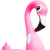 boia_flamingo_detalhe